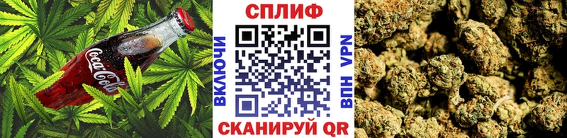 Canna-Cookies конопля это клад Томск закладка MEGA онион