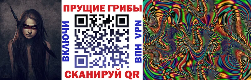 Галлюциногенные грибы Psilocybine cubensis  блэк спрут сайт  Томск 
