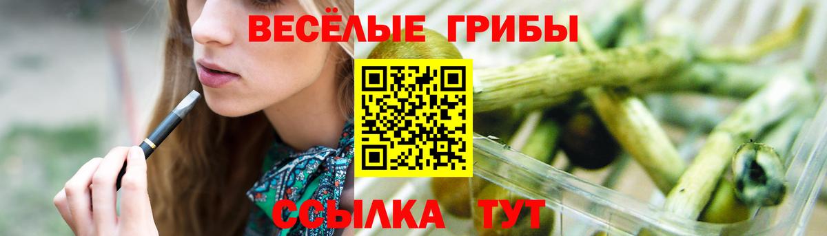 Галлюциногенные грибы Psilocybine cubensis  Галлюциногенные грибы мухоморы  Вход с VPN  Томск 
